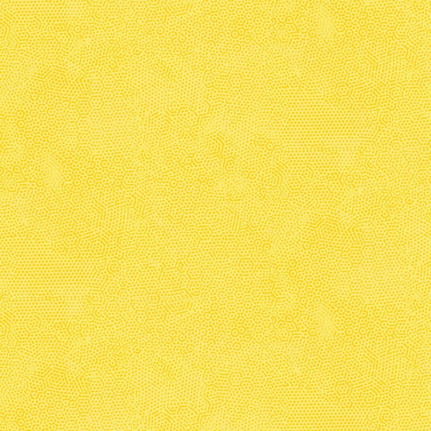 Dimples - Sunny Y3