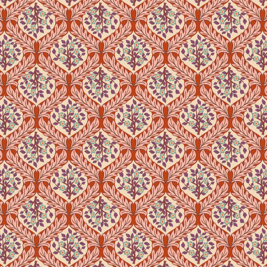 Isabella Hidcote tree on terracotta