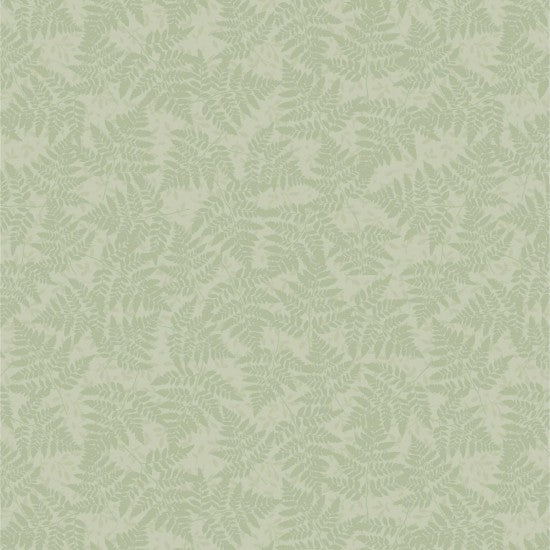 Forest Wonder fern green