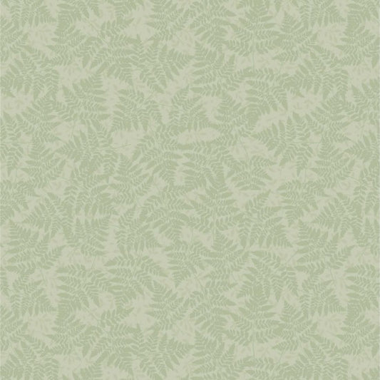 Forest Wonder fern green