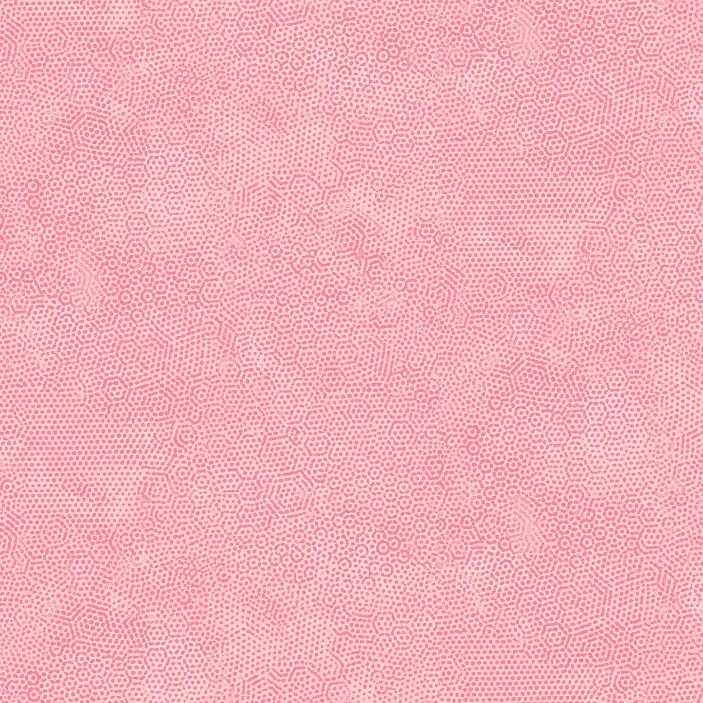 Dimples - Carnation E6