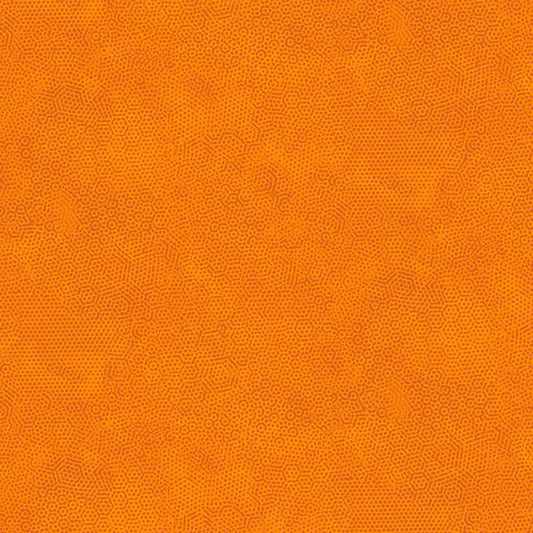 Dimples - Carrot O1