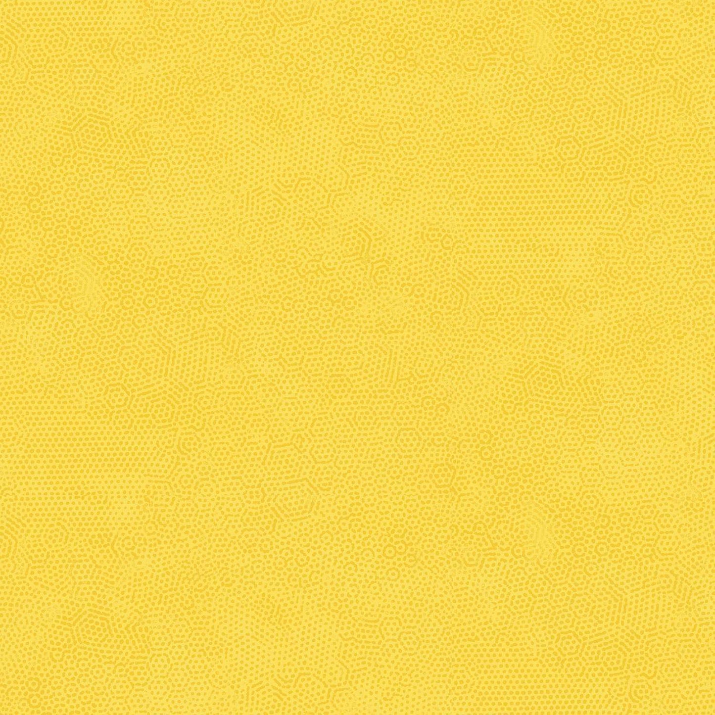 Dimples - Golden Y23