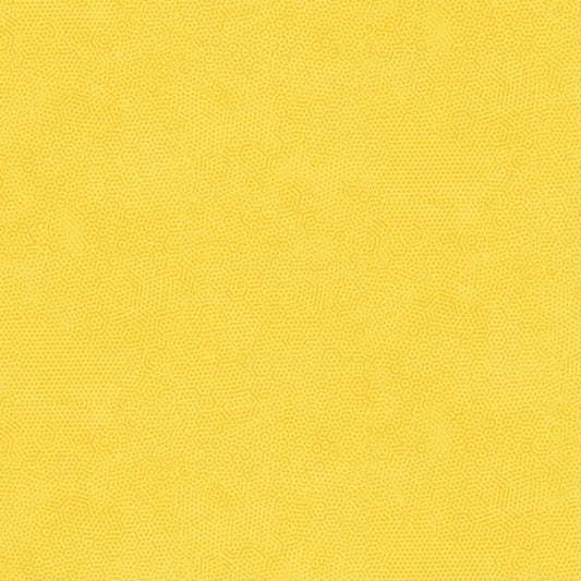 Dimples - Golden Y23