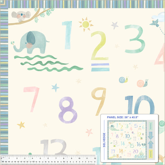 Count on me - Milestone Mat baby quilt