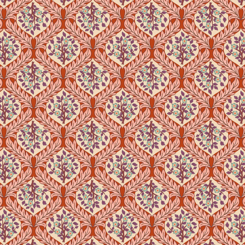 Isabella Hidcote tree on terracotta